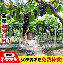 ޷јmꖹõϱͺ{ݮļNֲԺ