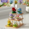 K520-525 crystal ball building block flower 6 types