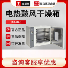 天津泰斯特101-0AB/1AB/2AB/3AB 卧式电热鼓风干燥箱 实验室烘箱