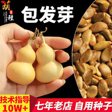 ��С�������J�N�Ӿƺ��J�ѻ��������׻��ļ��������̖��ʳ���߲�