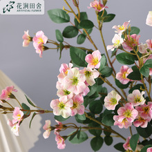 ���W���� ǧ��Сõ�� ���滨���^С�Nޱ�Ҿ��̈��b�c�[���ٻ�