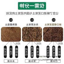 ��42K41�M��̿�����M��39����24��̿�m����33����I�B��14