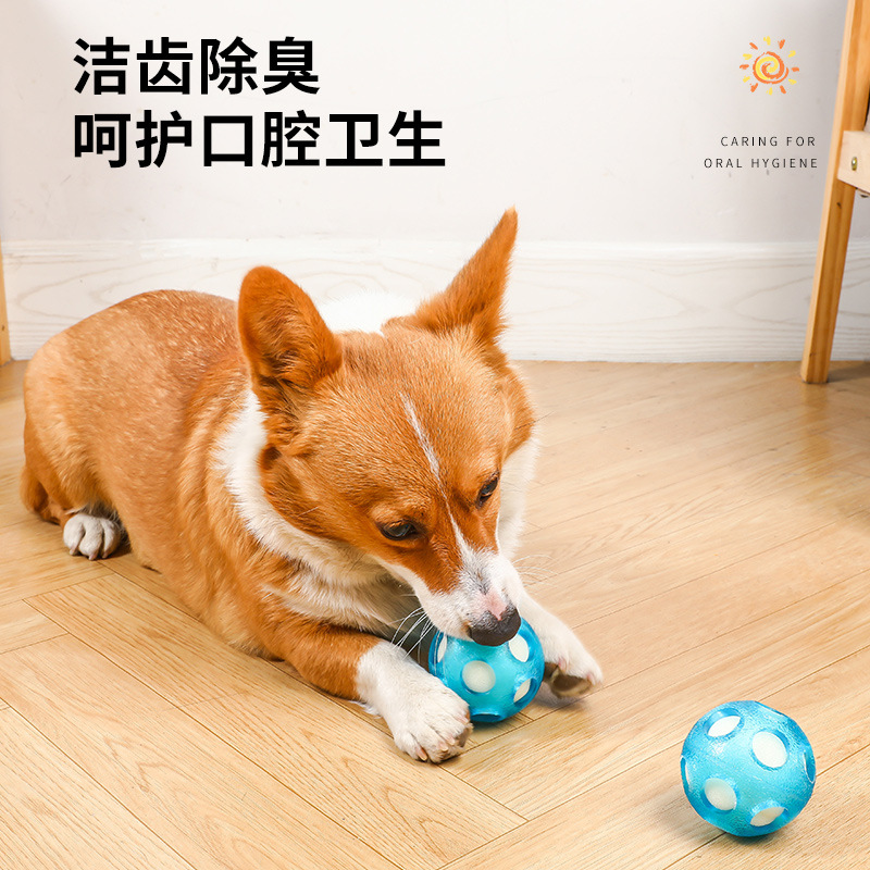 El nuevo perro esponja mordedura bola flotante agua océano bola perro juguete bola persiguiendo agua jugando perro Bola de juguete