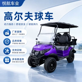 高尔夫球车;电动观光车