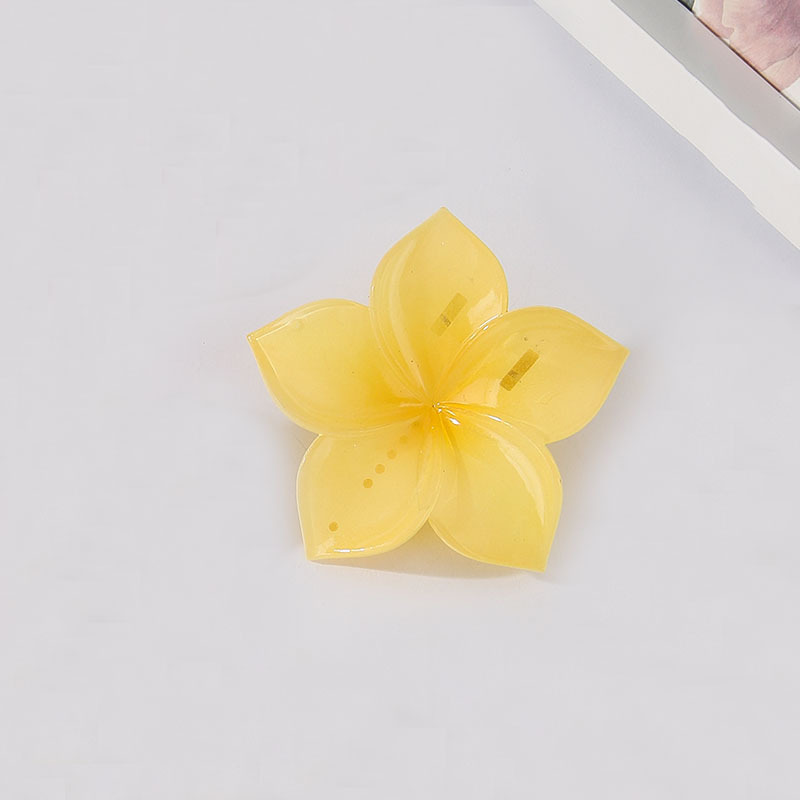 跨境热销鸡蛋花花朵发夹海边度假鲨鱼夹紫荆花盘发夹子时尚头饰女|undefined