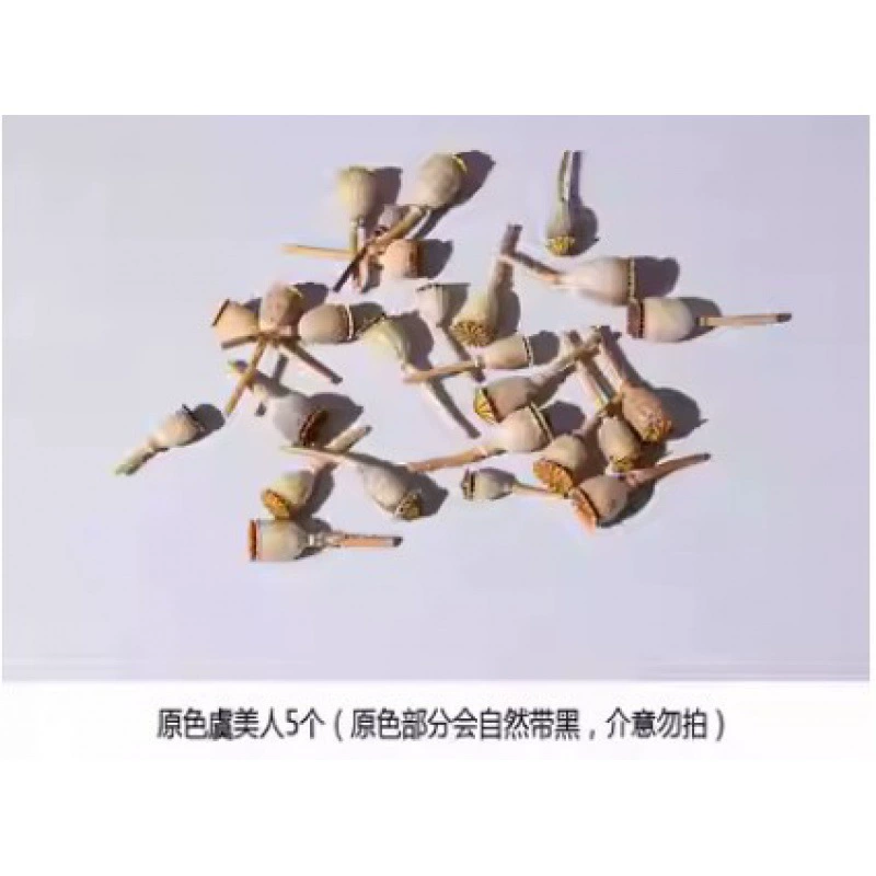 Organic sample, photo frame handmade, Christmas materials set, DIY