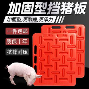 ���i��Ӻ����Ôr�i�������B�i�O����i���Z�i�������s�i���͛_��