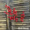 5 fork-hair wealth fruit (large fruit 1.4-1.5)
