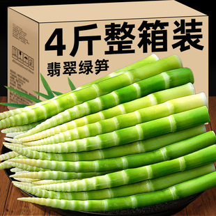 过年年货翡翠绿笋清水笋下饭菜非糯米笋非干货嫩笋尖竹笋新鲜商用-阿里巴巴