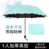 [开花伞湖蓝]