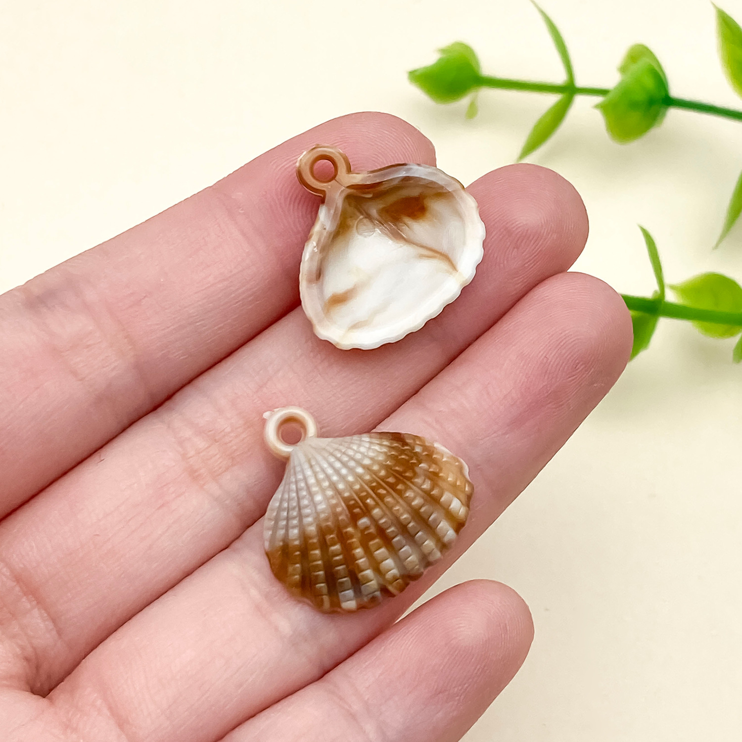 23608-XDX-B123-小号米黄色亚克力海洋贝壳20x