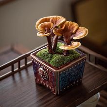 ��ؔ�`֥�����҃�����Ȥζ�^�~ֲ����B�׻��ݗ�����Gֲ�k����