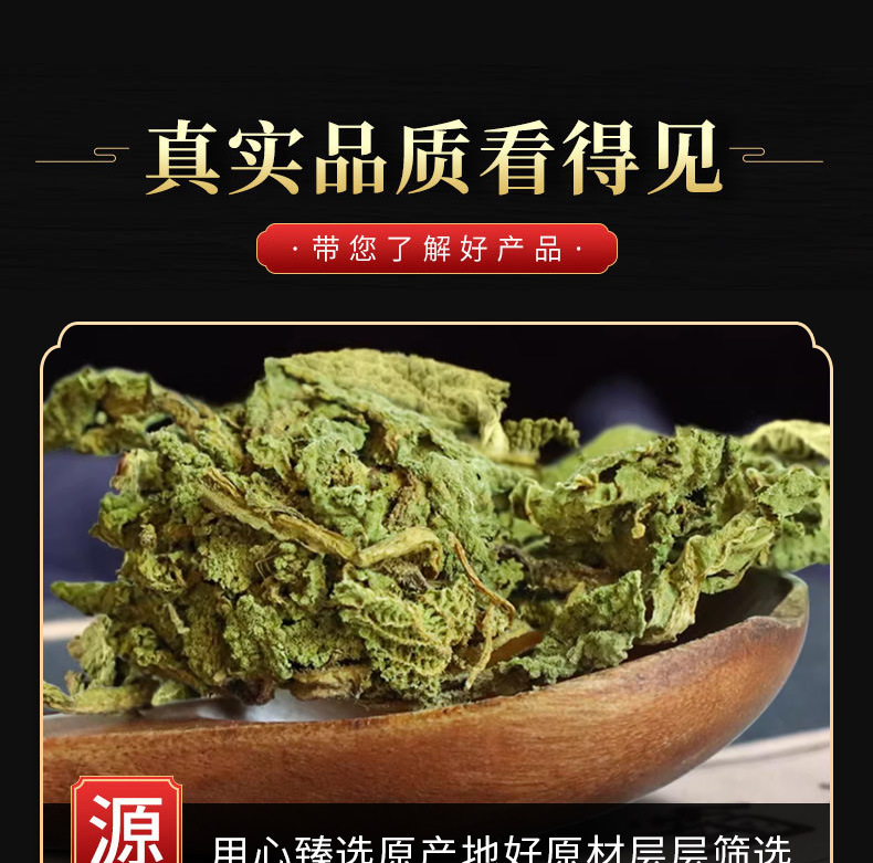 Ha Ma Cao (Salvia plebeia) — Dried Food Herb, 500g Loose Leaf quality and texture
