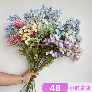 �¿���滨С�黨������ ���^С�黨�M���� ��c��Y�ñ���ܛ�b��