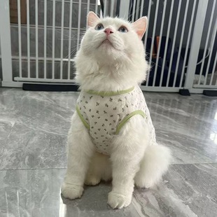 Pet Cat Clothing, Dog Clothes, Thin Style for Bichon, French Bulldog, Corgi, Teddy, Pomeranian, Small Dogs, Puppy Print, Casual