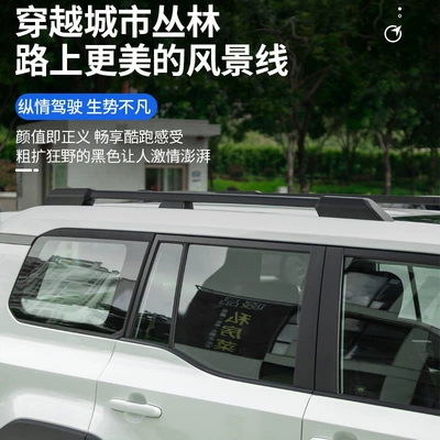 Motorcycle tail — Suitable for the 2024/2025 new Prado