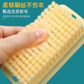 方形软毛清洁鞋刷学生宿舍塑料板刷不伤衣物洗衣刷去污神器刷子