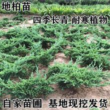 ɳ�ذ�䁵ذ��绨��ſ�ذ����ļ�����G���������ͺ����B���辰��