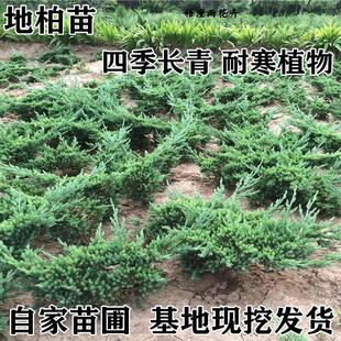 ɳ�ذ�䁵ذ��绨��ſ�ذ����ļ�����G���������ͺ����B���辰��