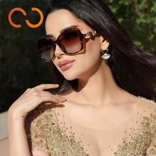 �ɂ�Ȧ  2025�¿���ƫ��̫��RŮʿ�߼������~�ݏ͹�ī�RT1322