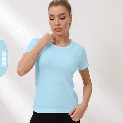 Alternative Exercise Short Sleeve Women's Summer Breathable Quick Dry Fitness T-Shirt Women's Round Neck Pilates Training Yoga Top