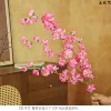 Big 5-forked orchid