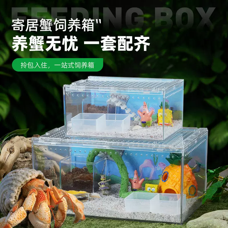 寄居蟹亚克力生态缸高透光新手进阶饲养箱造景亲子玩具塑料套装盒