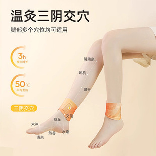 Steam Master Vitality Ankle Evodia Rutaecarpa Patch Evodia Rutaecarpa Steam Ankle Patch