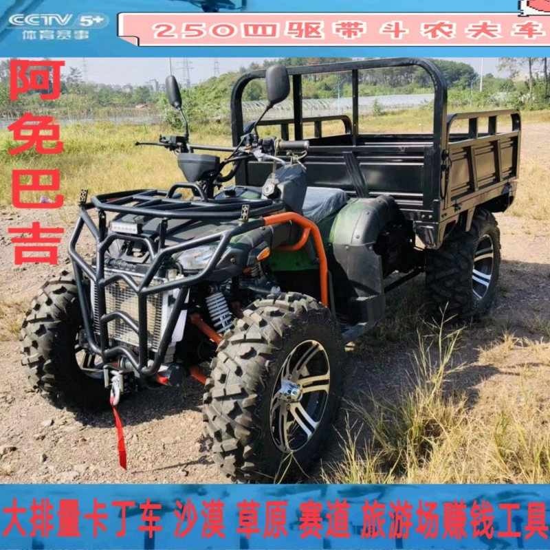 Экспорт Zongshen 250 мотоцикл с водяным охлаждением полный привод сельскохозяйственный квадроцикл для взрослых квадроцикл