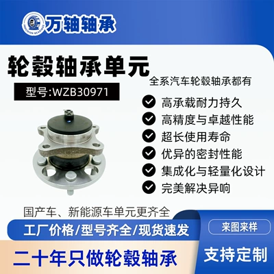 Sa2H-3104100 Rear Wheel Hub Bearing Unit Axle Head Suitable for Byd Han/Song Pro/Ev/Max/E9 (Bearing)