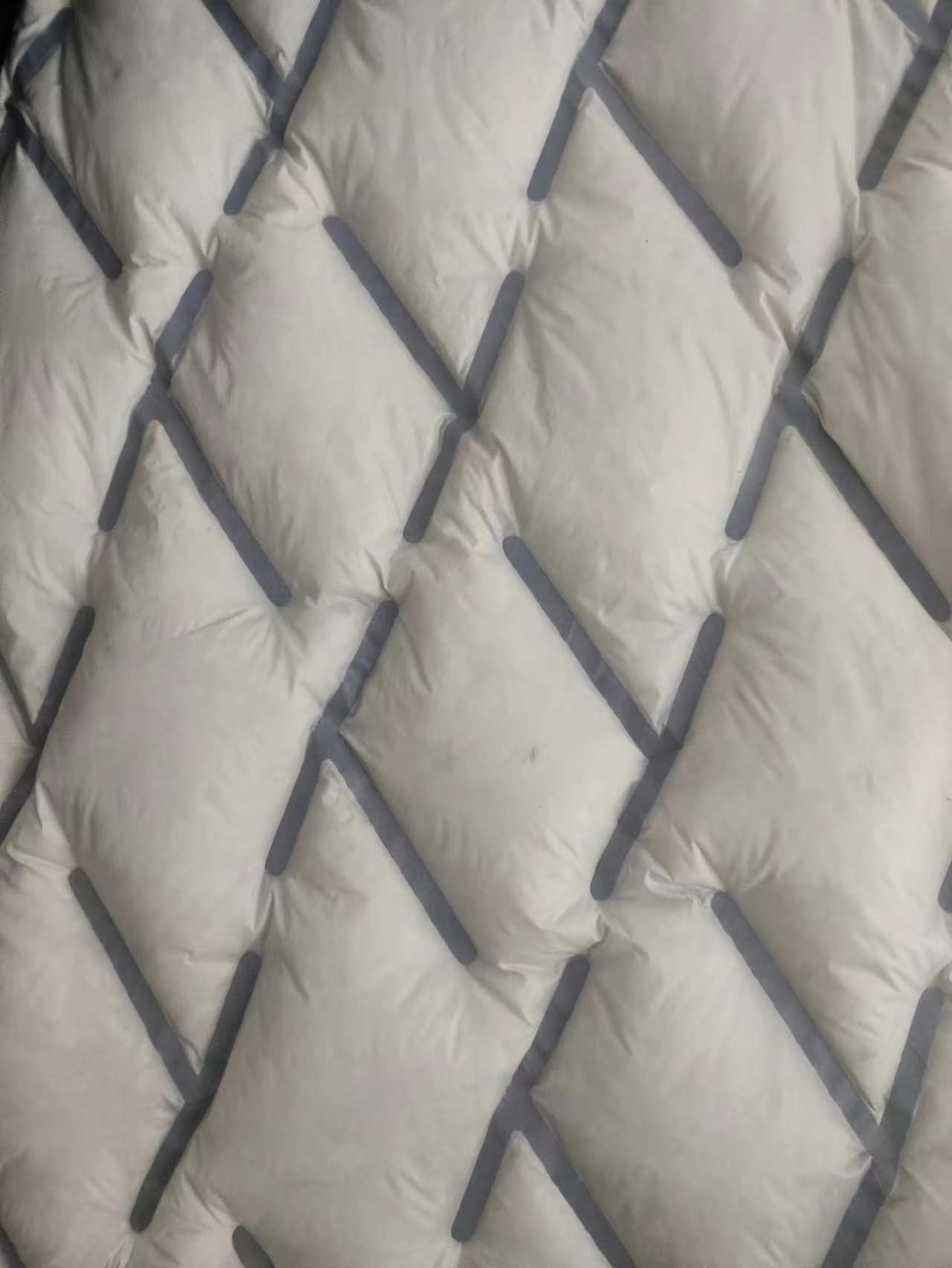 微信图片_20240919142415