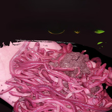 红蚯蚓鲫鱼野钓饵钓鱼大号蚯蚓红虫散装蚯蚓活饵盒装【12