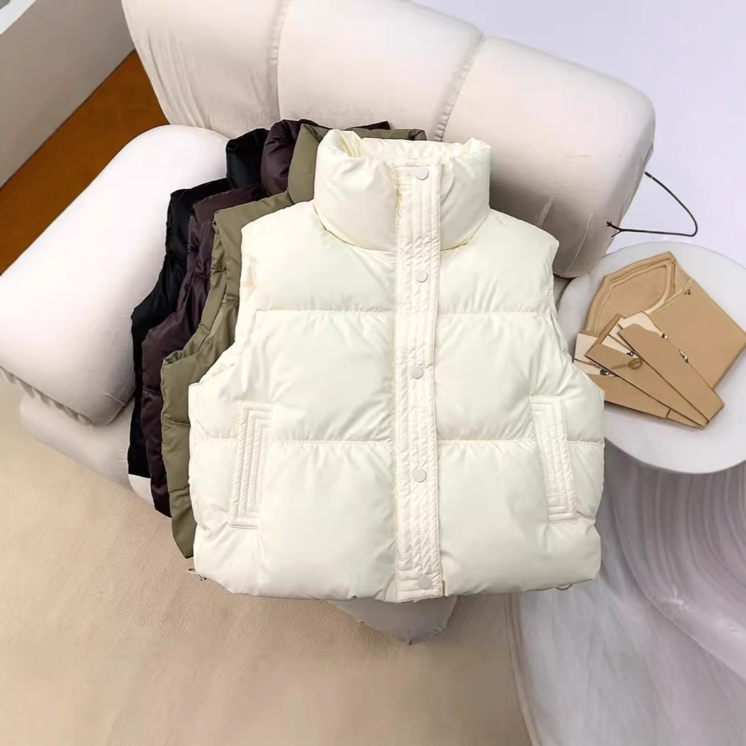 2024PU piel simple chaleco de algodón otoño invierno nuevo estilo de estudiantes de estilo extranjero pequeño cuello de collar de color sólido chaqueta coreana mujer image 2