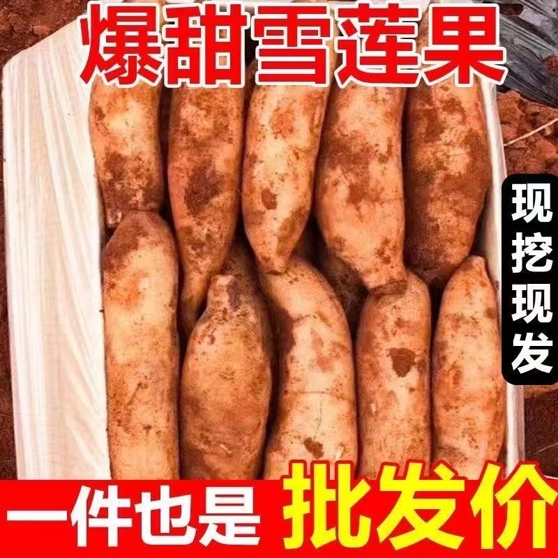 云南天山雪莲果当季孕妇水果应季批发整箱9斤新鲜现发产地