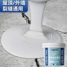 屋顶防水补漏涂料卷材楼顶房顶堵漏王平房裂缝漏水液体材料防漏胶