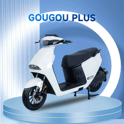 Cross-Border Foreign Trade Electric Vehicles, Foreign Commuting Electric Motorcycles, Electric Bicycles, Export of Electric Vehicles to Russia