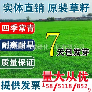 ��ƺ�N�Ӳ����ļ�����G����������Ľ�����é������Ƥ���o�¹���