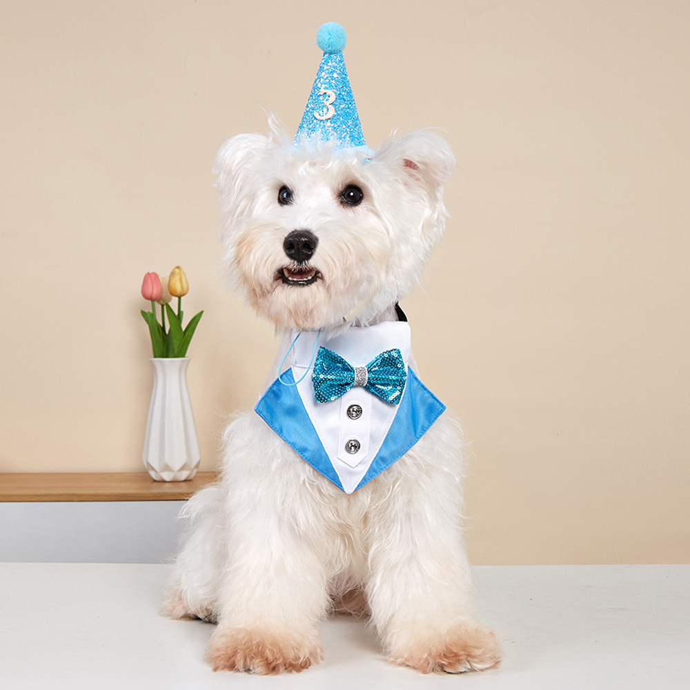 Nuevos productos transfronterizos para mascotas decoración de fiesta de cumpleaños para perros sombreros de cumpleaños para mascotas toallas de cumpleaños set para gatos