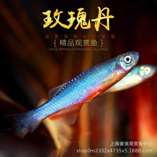 ���B�ͻ��~���Ӝ�õ�嵤�~ϡ��ԭ���~��ˮ�~Ϫ���~��ˮ��ˮ�^�p�~