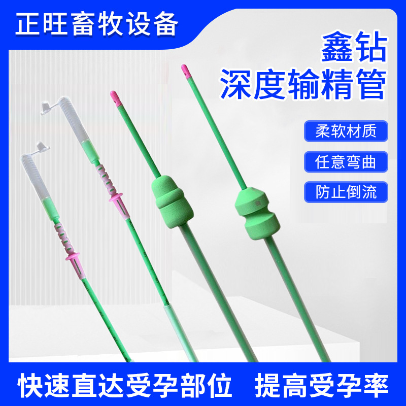 Vascular vascular deferente para cerdos importados de España, inseminación artificial profunda, vascular vascular deferente profundo, cerdo vascular vascular deferente