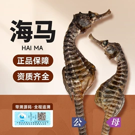 参类滋补品;鱼胶/花胶;水产干货类