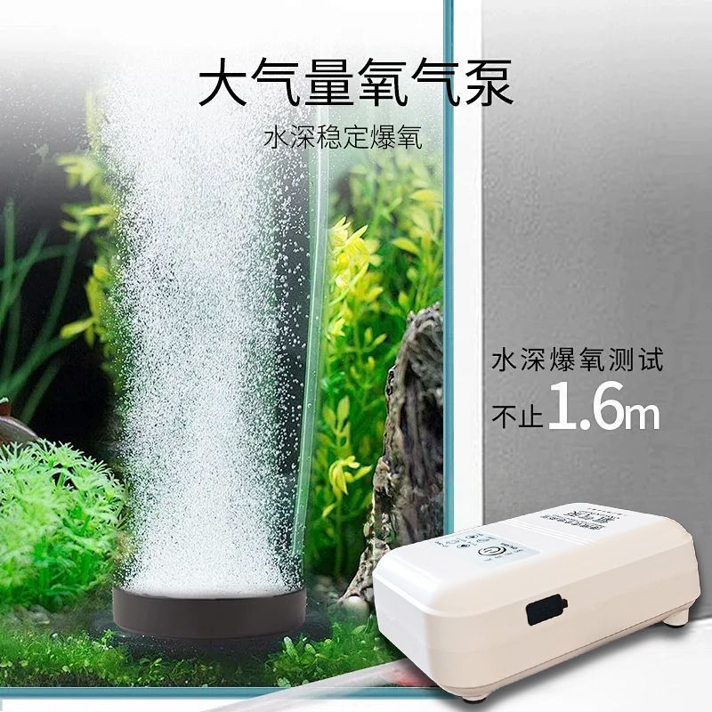 f50984cf-e0ef-4132-8832-d7166208f48d.jpe