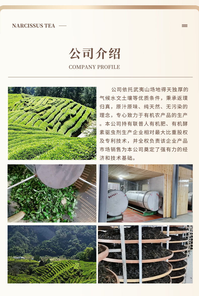 茶叶详情_13.jpg