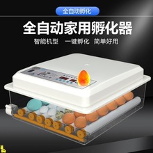 孵化机全自动小型家用型智能孵蛋器鸭鹅家用芦丁小鸡蛋孵化器