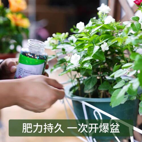 General-purpose controlled-release fertilizer for green plants and flowers, long-lasting mild granular fertilizer, compound fertilizer for fruit and vegetable planting, gardening slow-release fertilizer