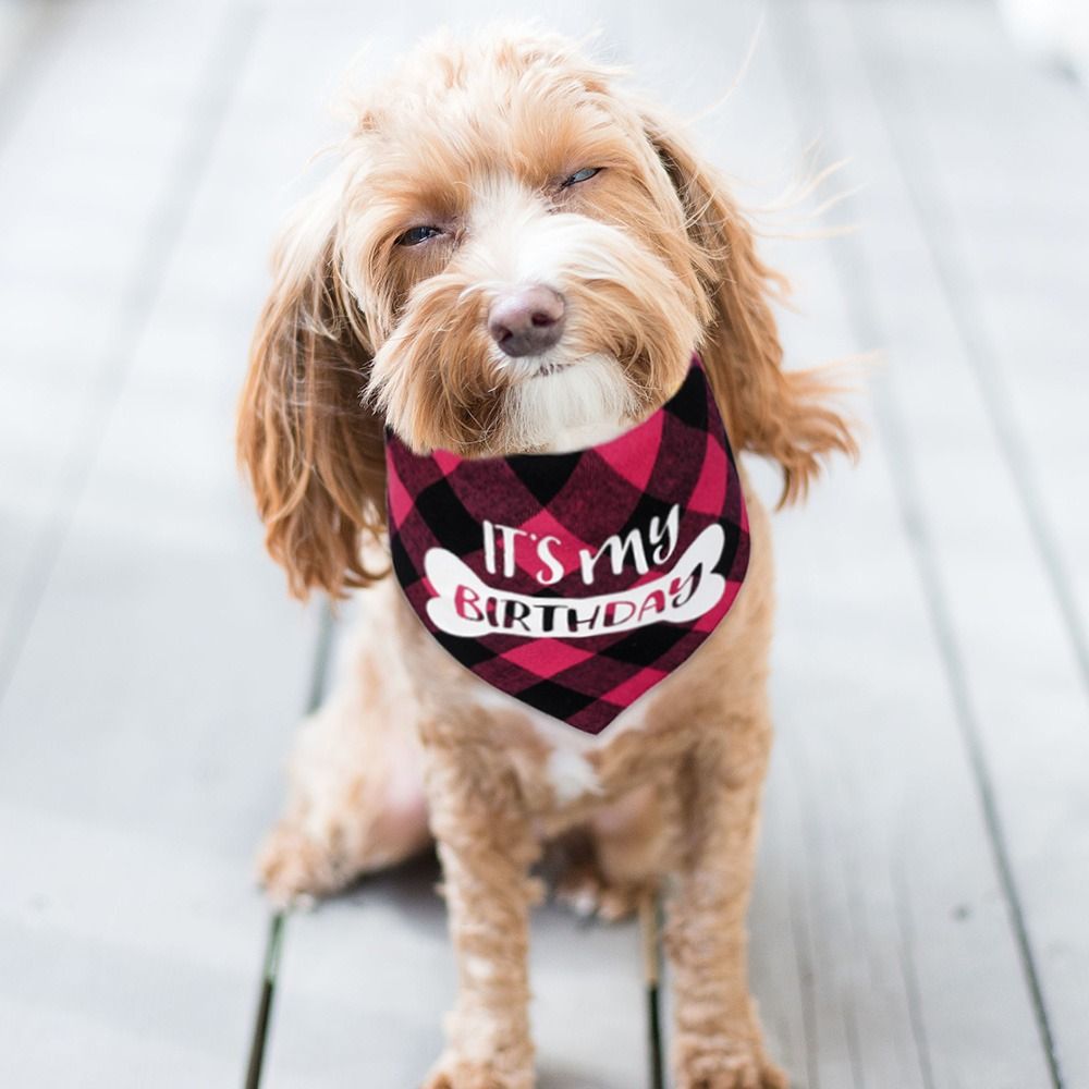 S9c46bc3fec544314bb780c2831bb7