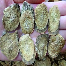 牛蒡根茶批发斜片黄金牛蒡根炒牛蒡根斜片可泡水药食同源量大价优