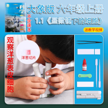 大象版六年级上册小学生科学实验套装材料教具学具显微镜下的细胞