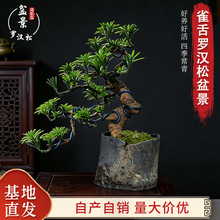 �_�h���辰�������Ժ��Bֲ���҃ȿ͏d�k�����̨�Gֲ�����՚��辰