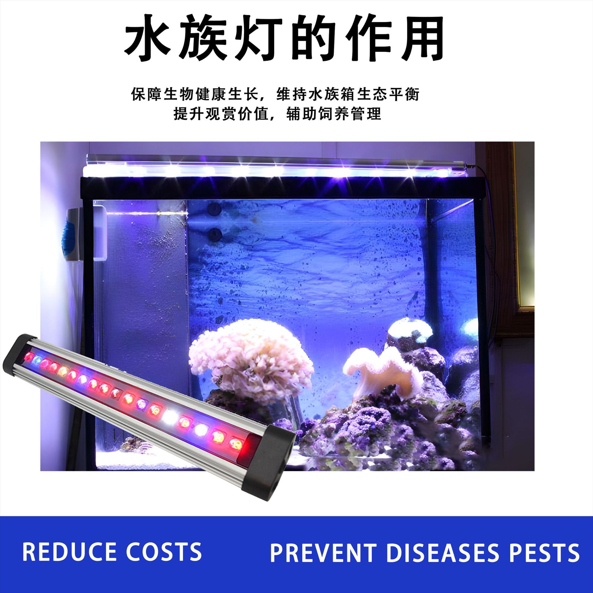 LEDȫˮģչͲˮݵϪ쾰